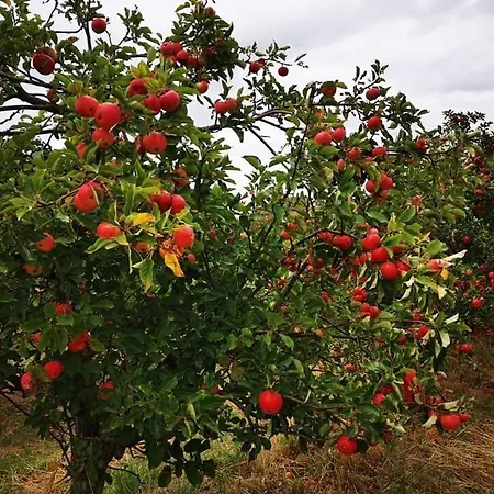 Troldeslottet Rudkøbing