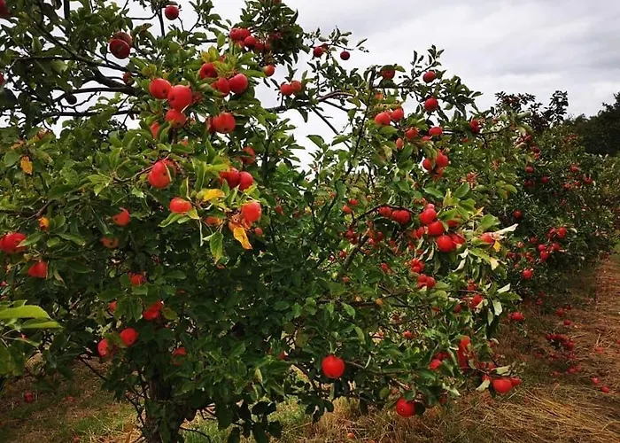 Troldeslottet Rudkøbing