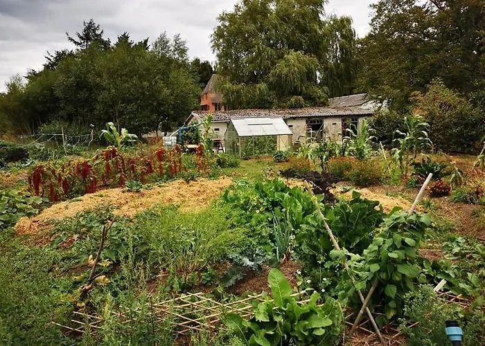 Troldeslottet アパート