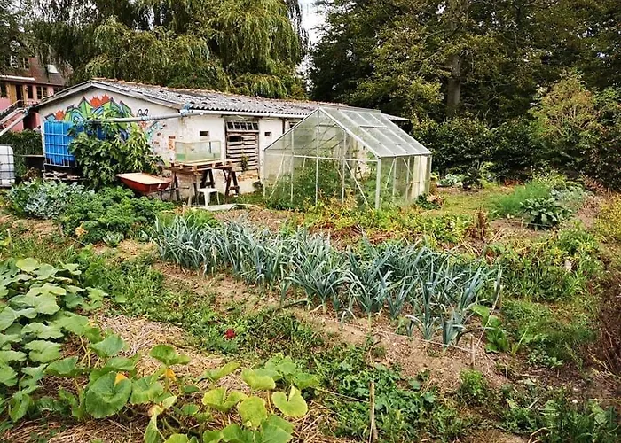 Troldeslottet アパート